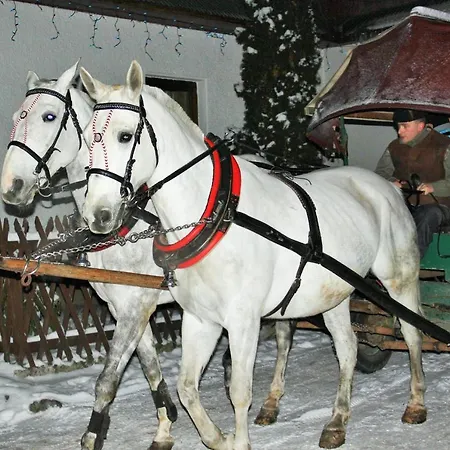فندق مبيت وإفطار U Sarapatki-noclegi Z Wyzywieniem 3*